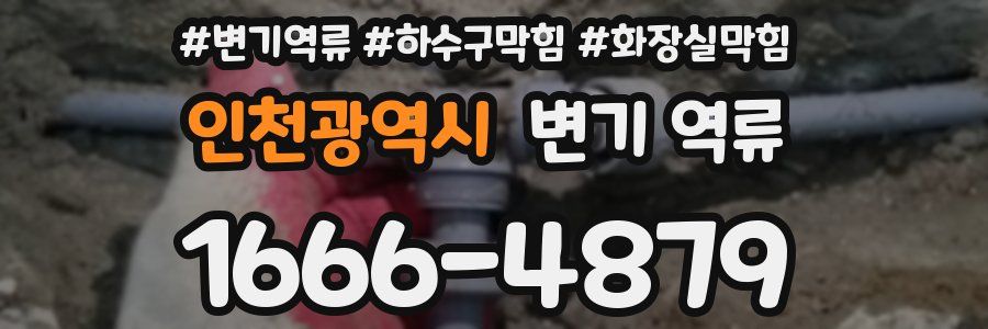 인천광역시 변기 역류