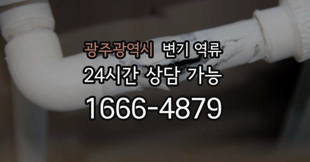 광주광역시 변기 역류