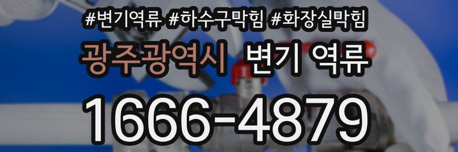 광주광역시 변기 역류