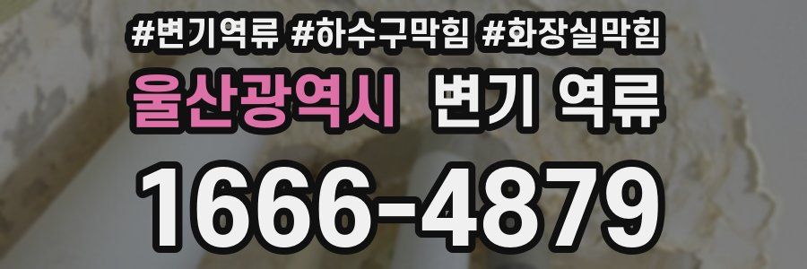 울산광역시 변기 역류