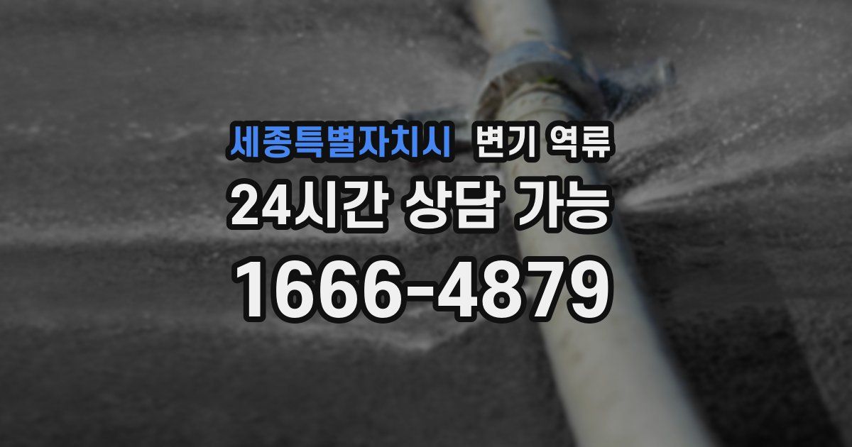 세종특별자치시 변기 역류