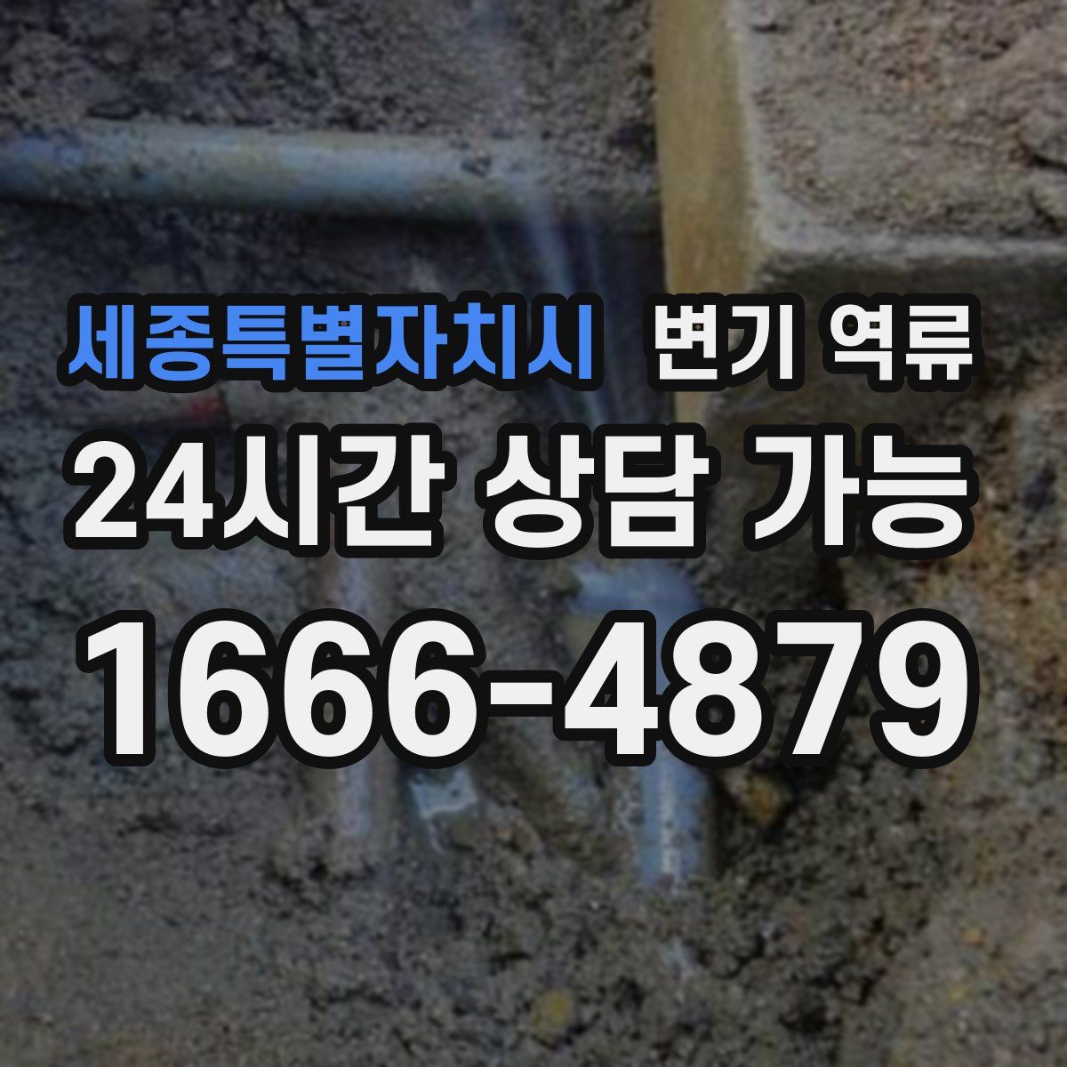 세종특별자치시 변기 역류
