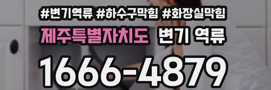 제주특별자치도 변기 역류