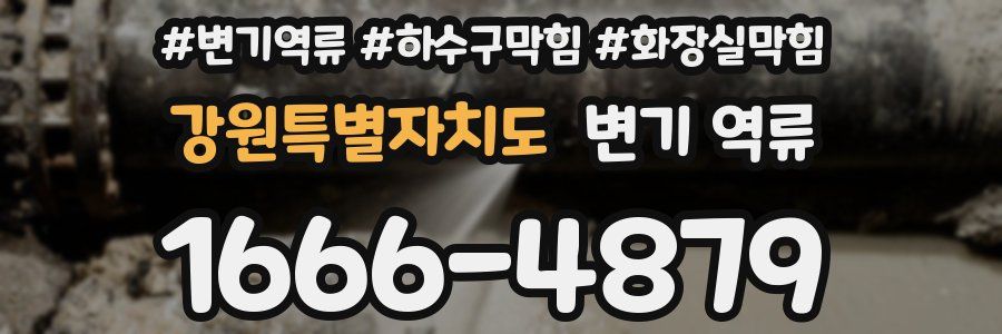 강원특별자치도 변기 역류