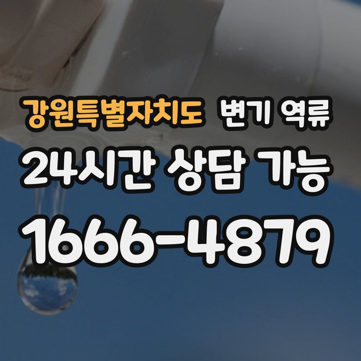 강원특별자치도 변기 역류