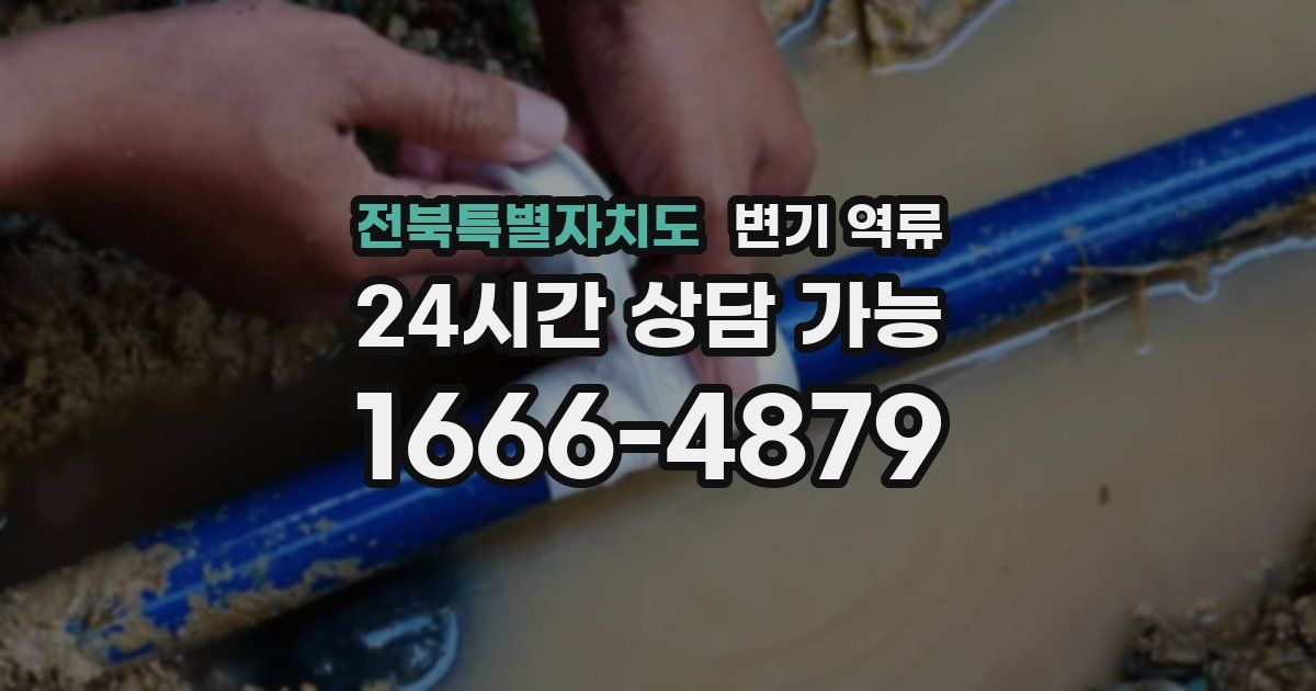 전북특별자치도 변기 역류