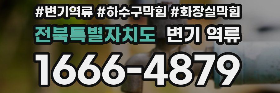 전북특별자치도 변기 역류