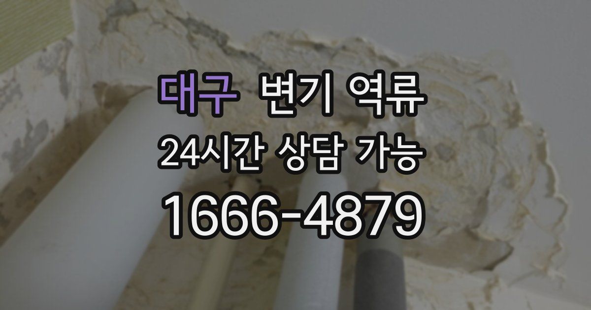 대구 변기 역류