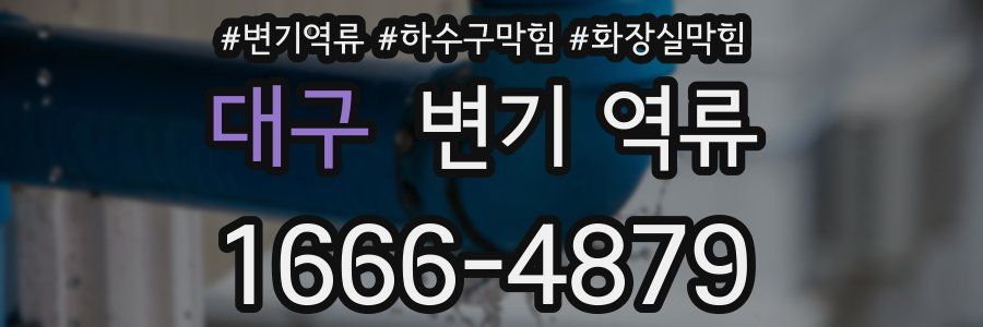 대구 변기 역류