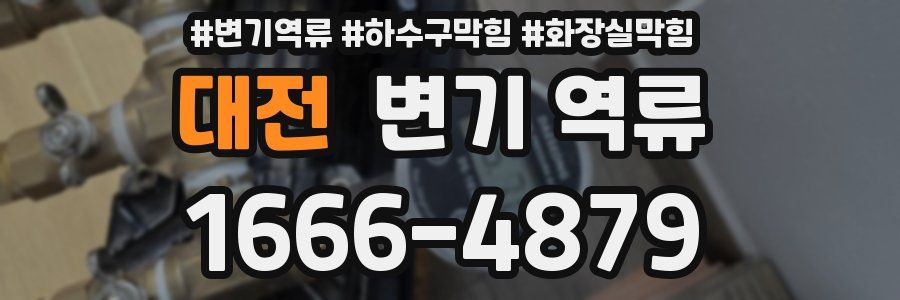 대전 변기 역류