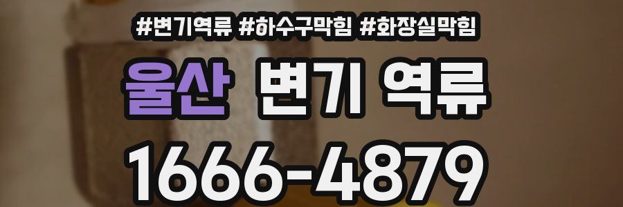 울산 변기 역류