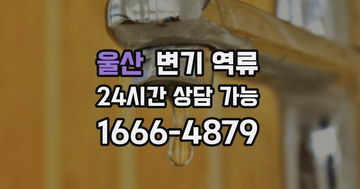 울산 변기 역류