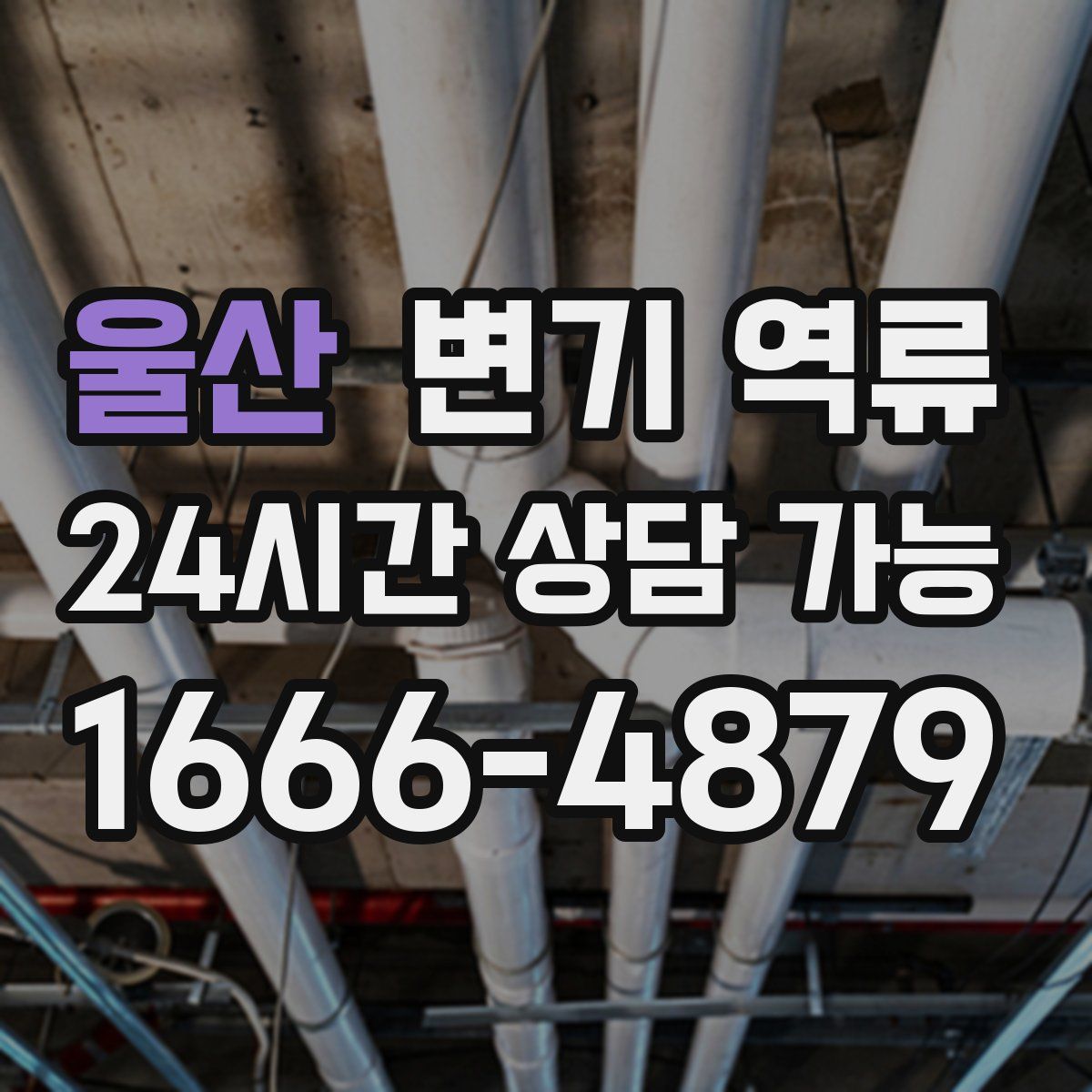 울산 변기 역류