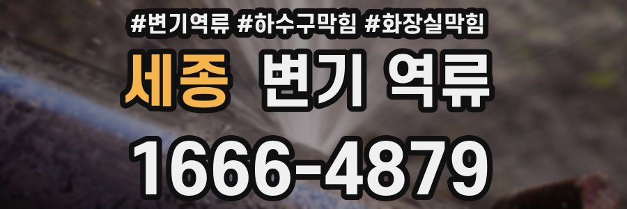 세종 변기 역류