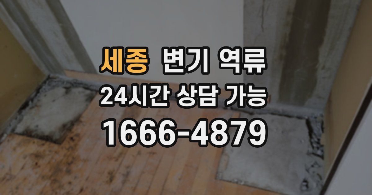 세종 변기 역류