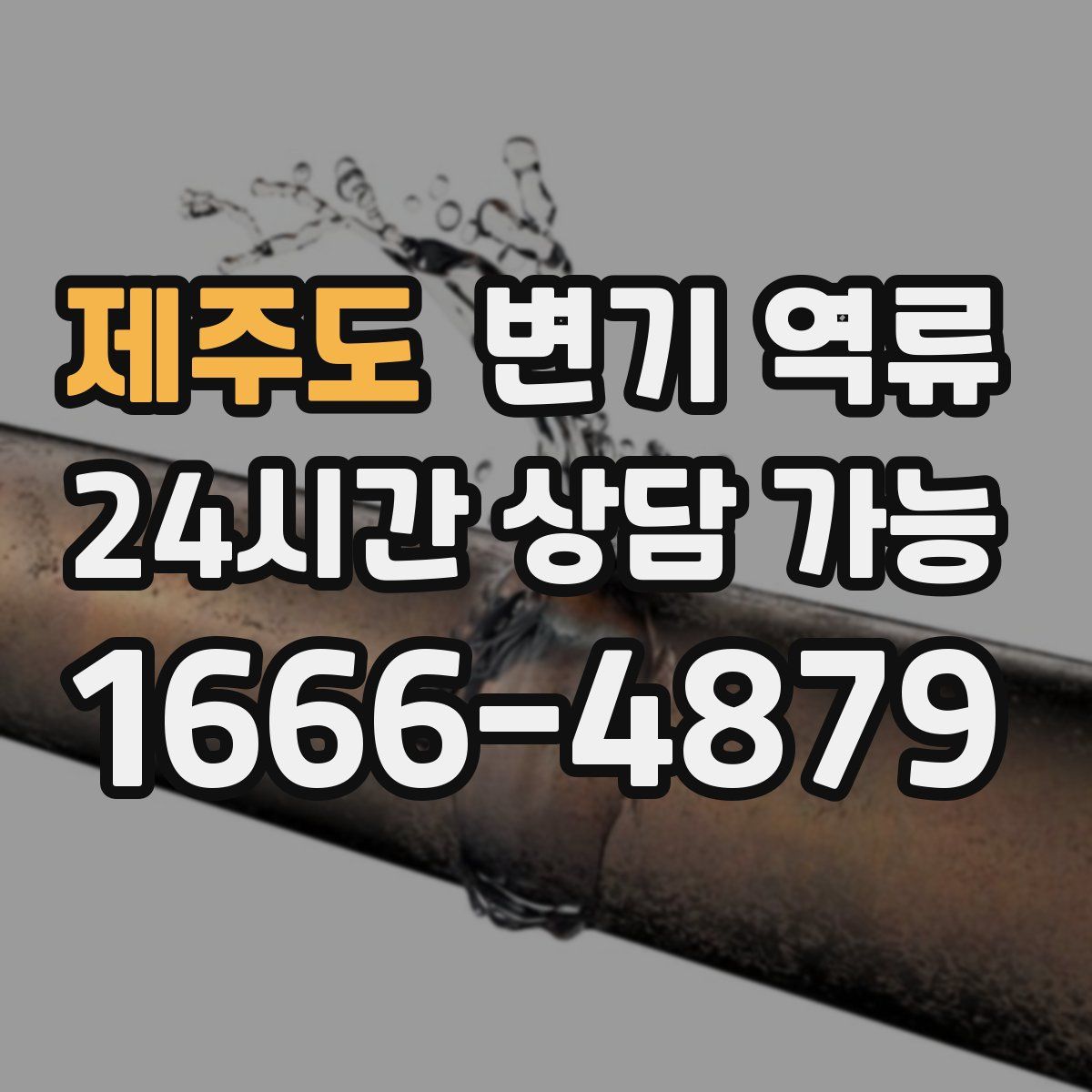 제주도 변기 역류