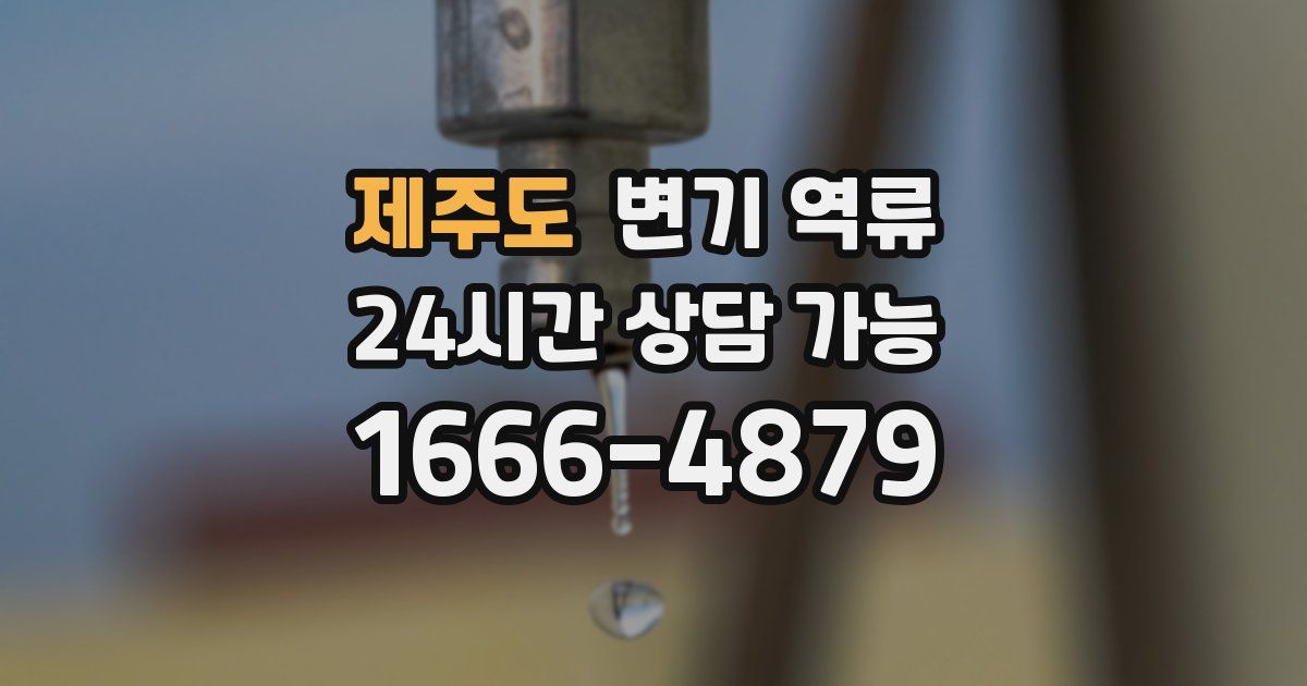 제주도 변기 역류