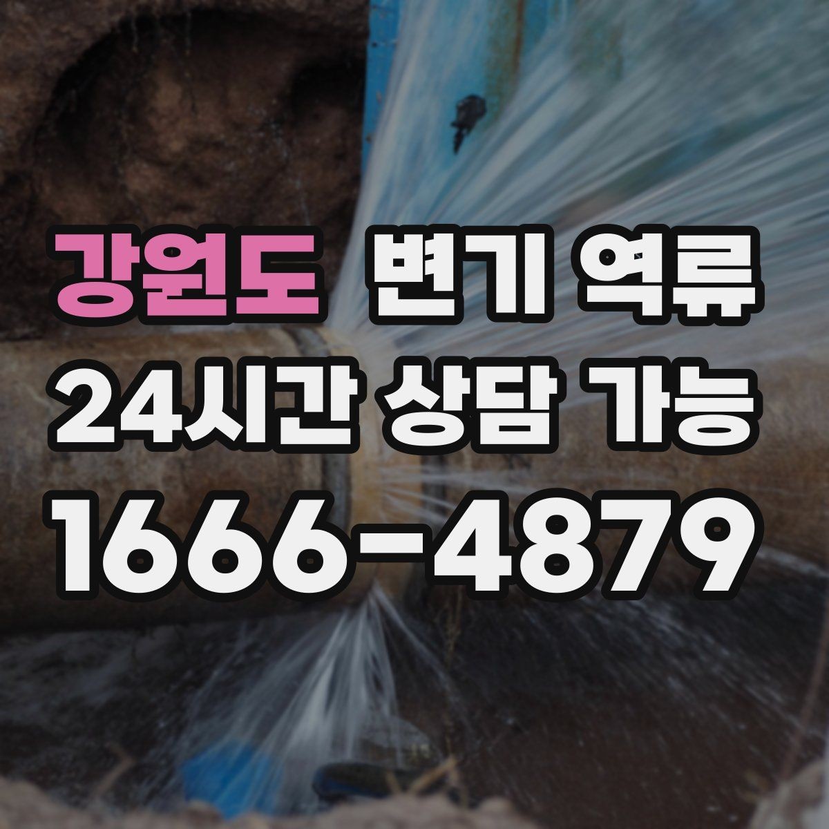 강원도 변기 역류 욕실 문턱을 넘기기 전 해야 하는 임시 조치