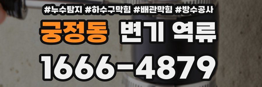 궁정동 변기 역류
