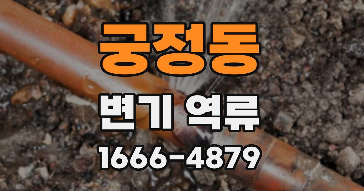 궁정동 변기 역류