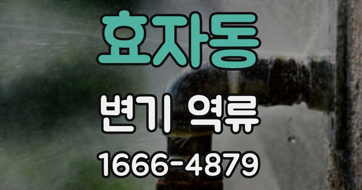 효자동 변기 역류