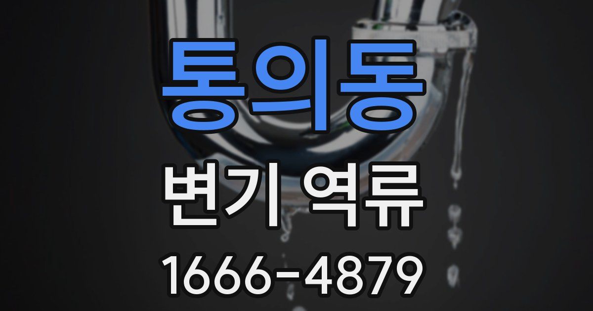 통의동 변기 역류