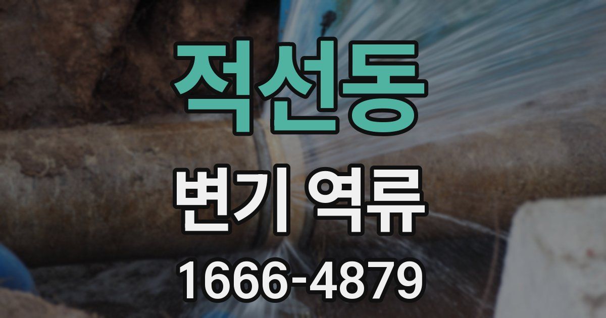 적선동 변기 역류
