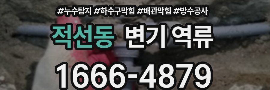 적선동 변기 역류