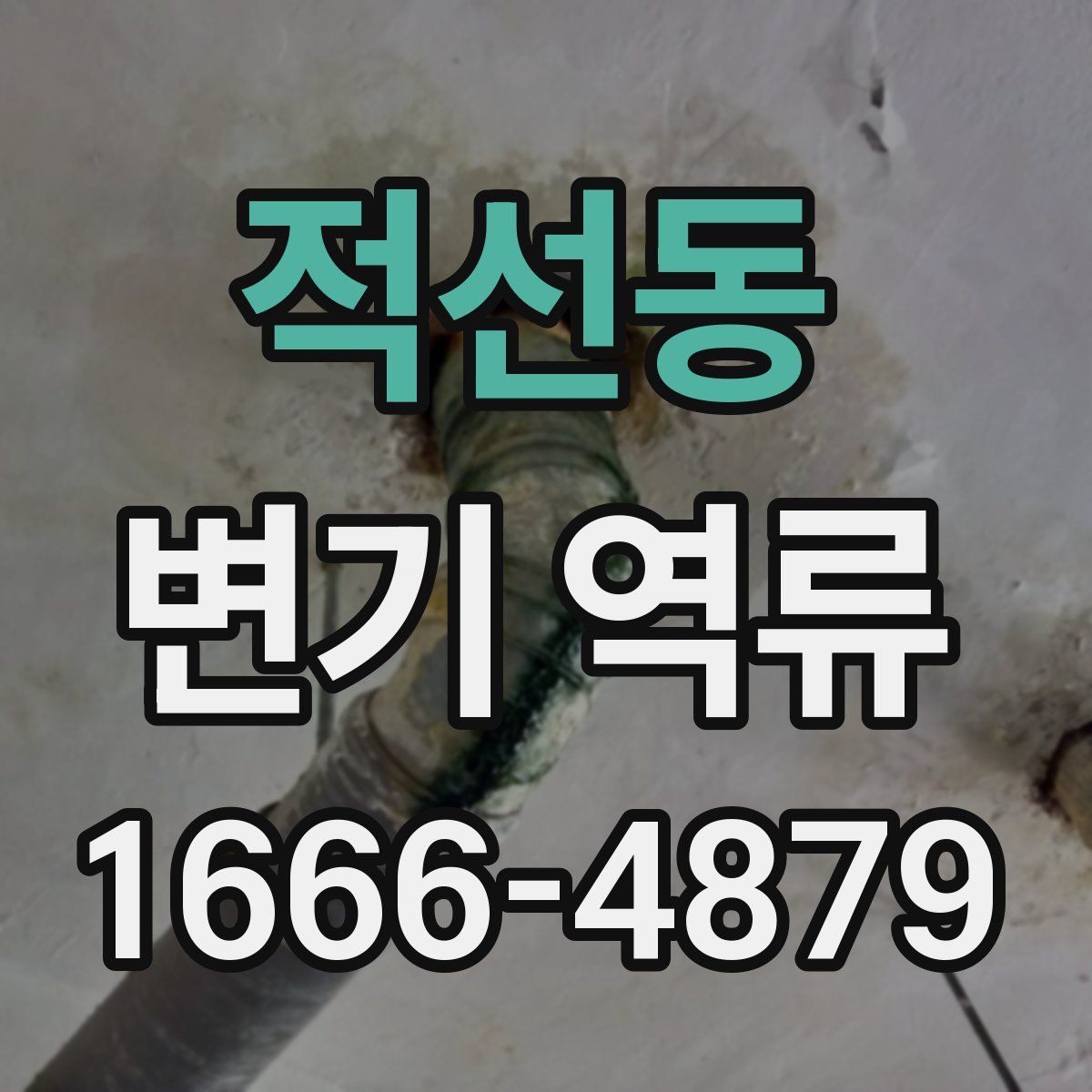 적선동 변기 역류