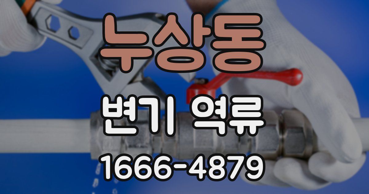 누상동 변기 역류