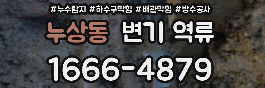 누상동 변기 역류