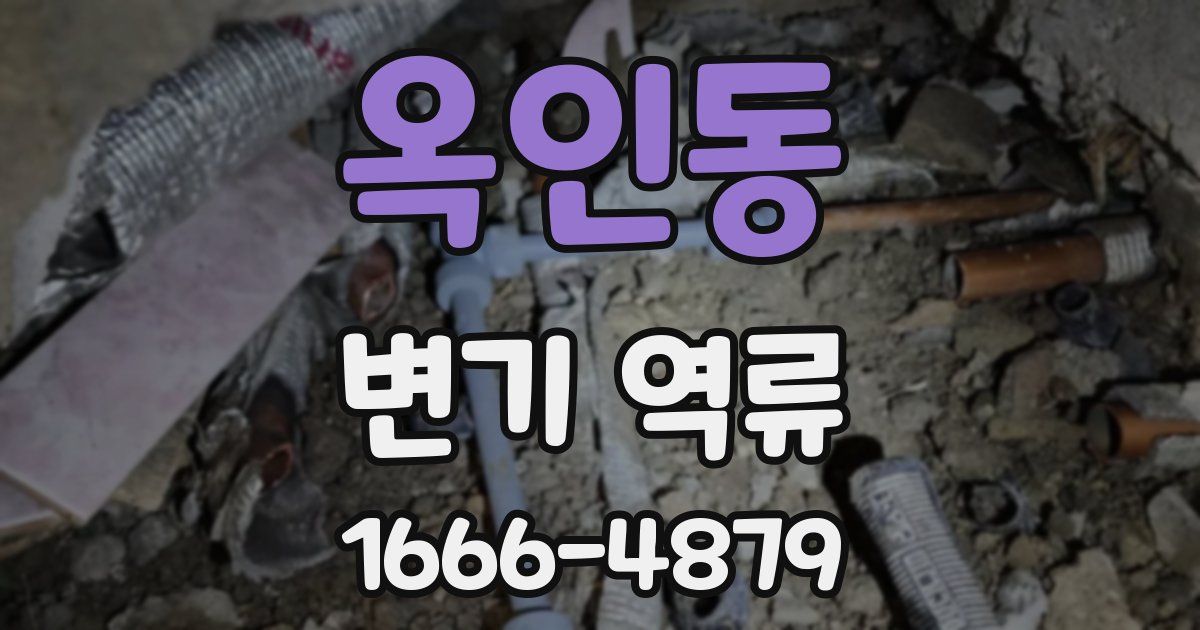 옥인동 변기 역류