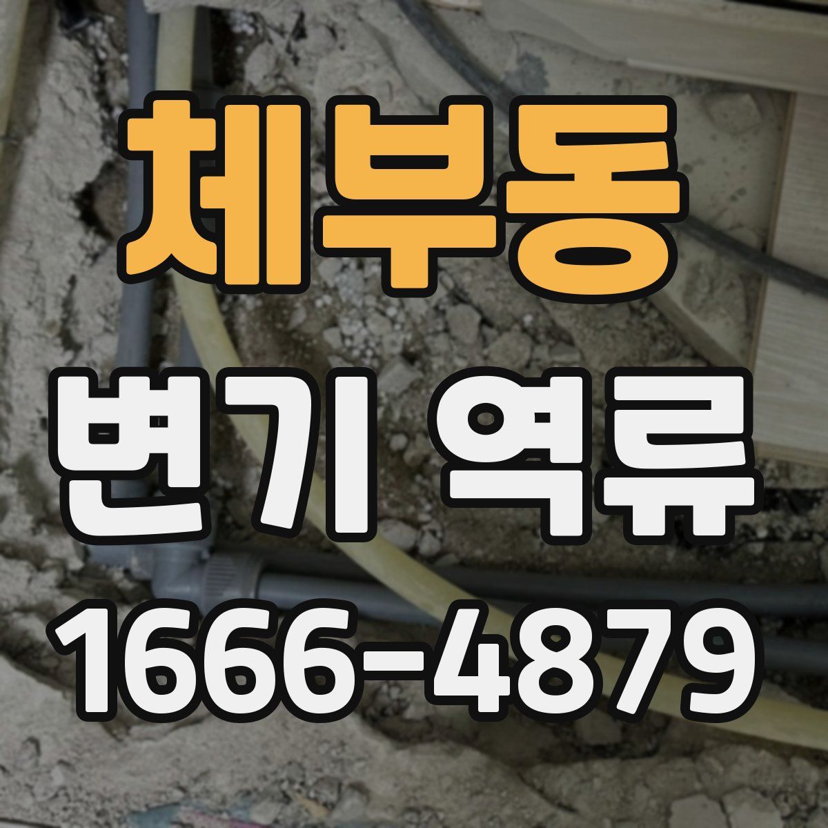 체부동 변기 역류
