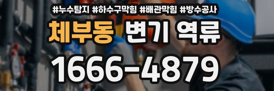 체부동 변기 역류