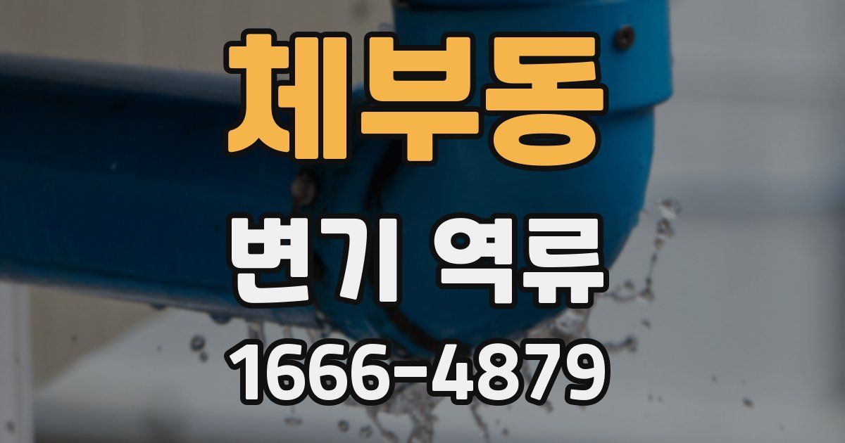 체부동 변기 역류
