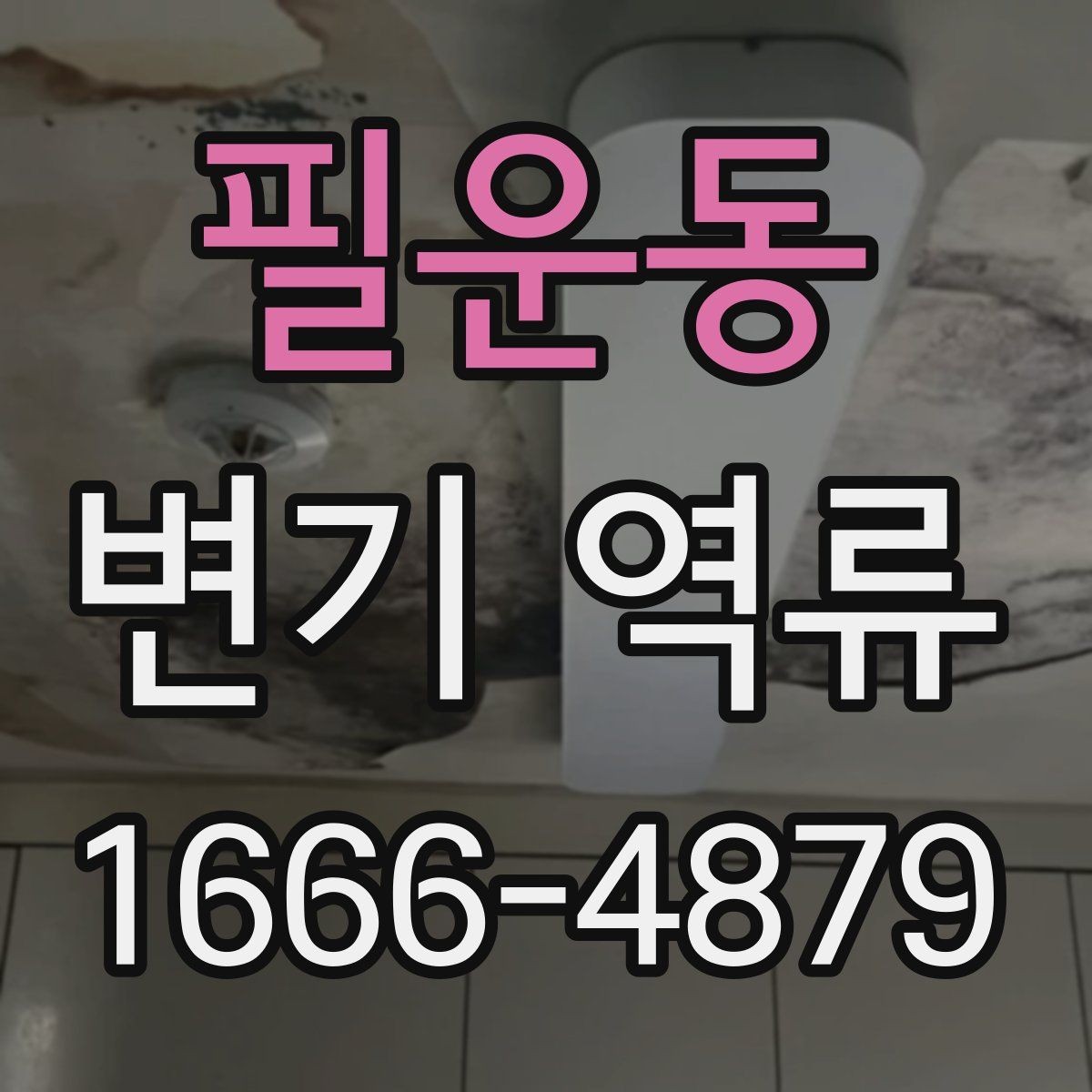 필운동 변기 역류 막힘과 함께 나타나는 징후