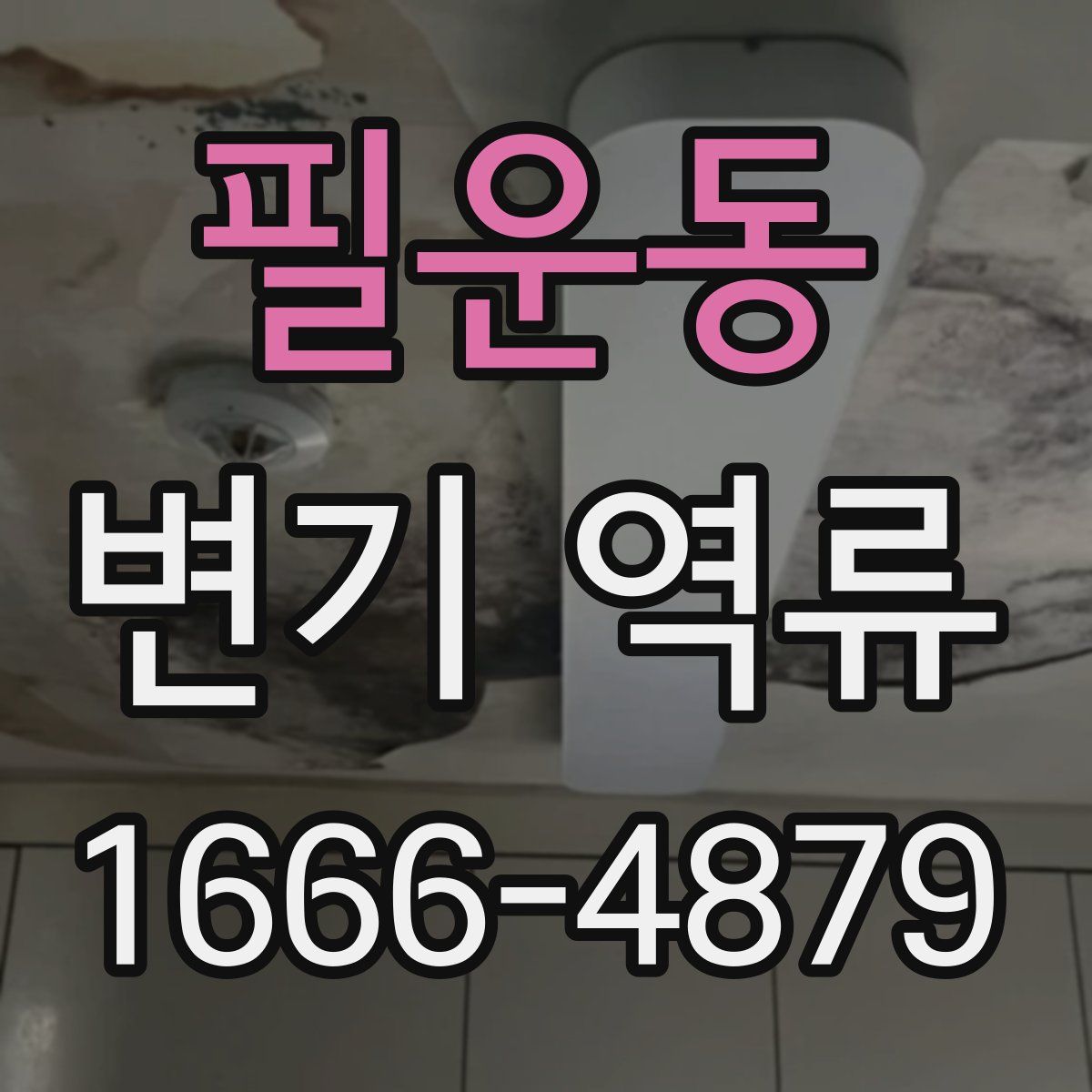 필운동 변기 역류