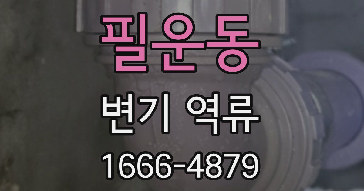 필운동 변기 역류