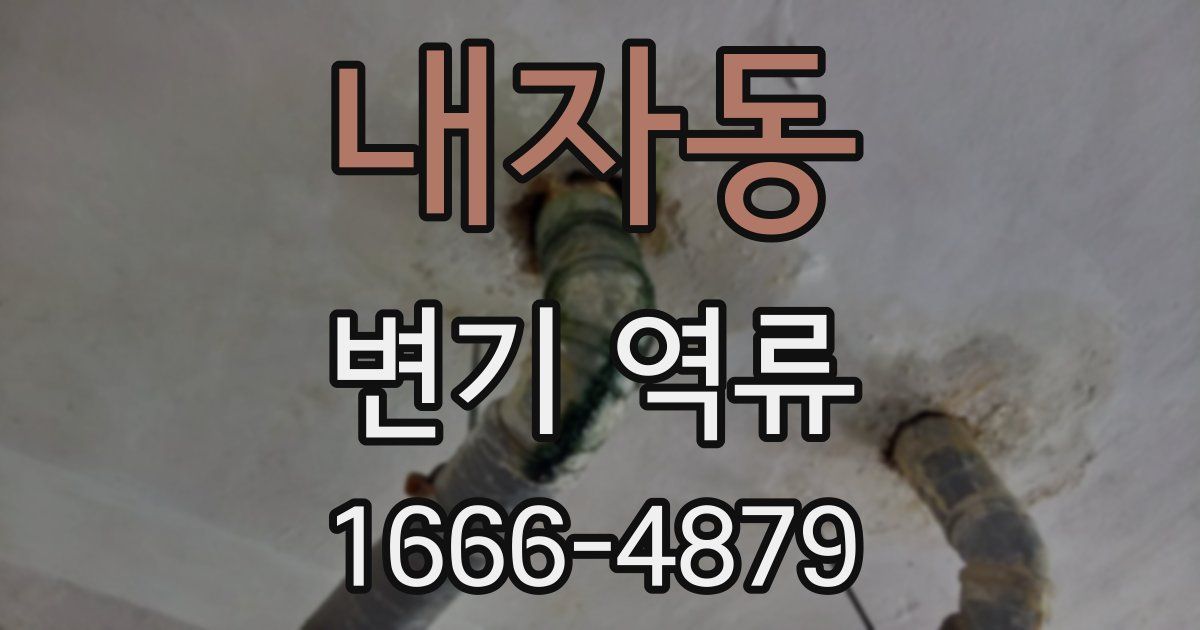 내자동 변기 역류