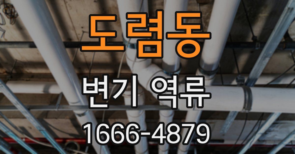 도렴동 변기 역류