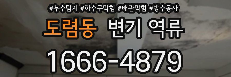 도렴동 변기 역류