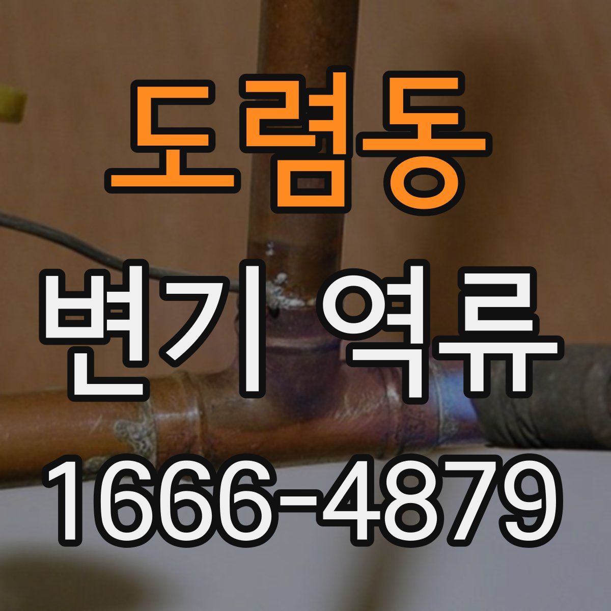 도렴동 변기 역류
