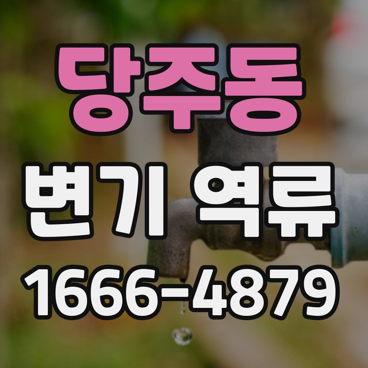 당주동 변기 역류 문제를 키우는 잘못된 사용