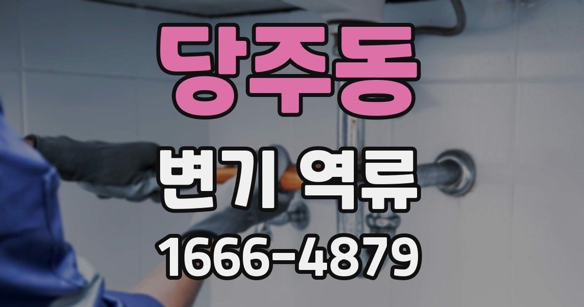당주동 변기 역류
