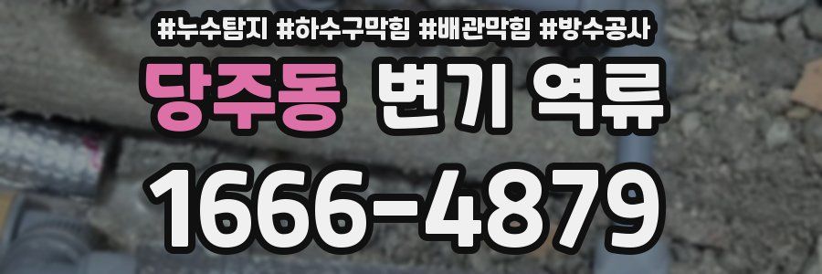 당주동 변기 역류