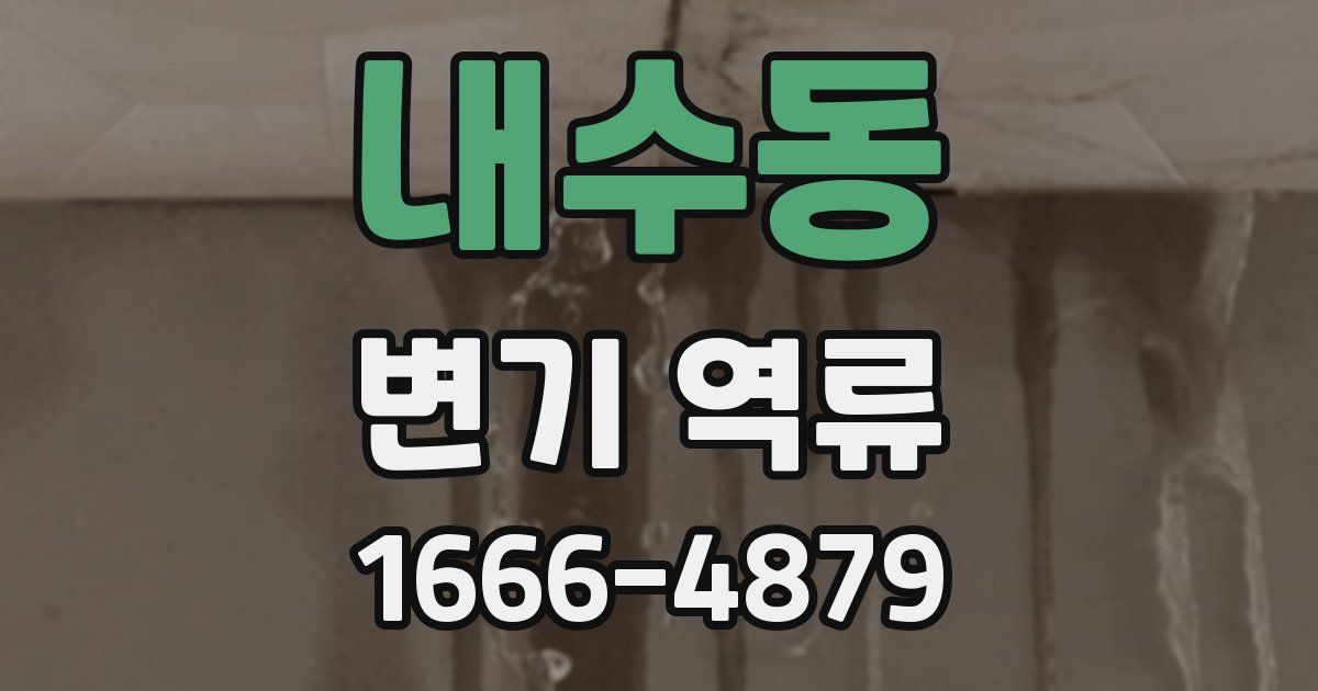 내수동 변기 역류
