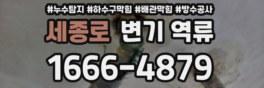 세종로 변기 역류