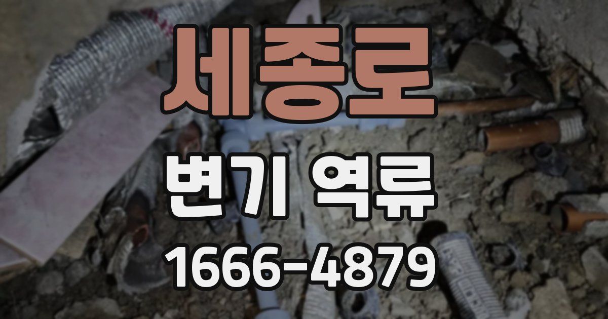 세종로 변기 역류