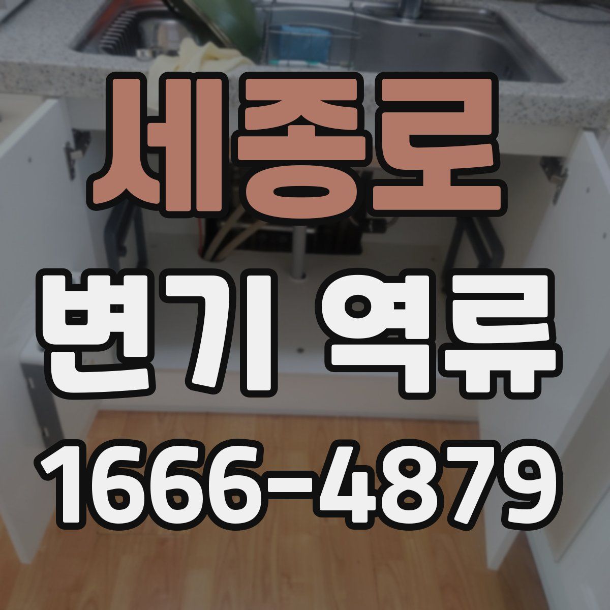세종로 변기 역류