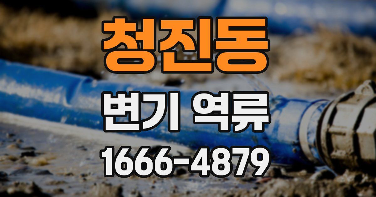 청진동 변기 역류